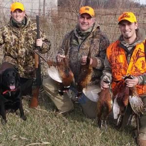 Meet your Posher, Bob